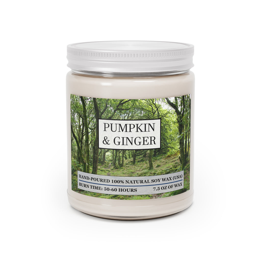 Pumpkin and ginger scented natural soy wax candle with the picture of a forest