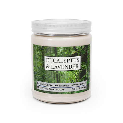 Eucalyptus and lavender scented natural soy wax candle with picture of a rainforest