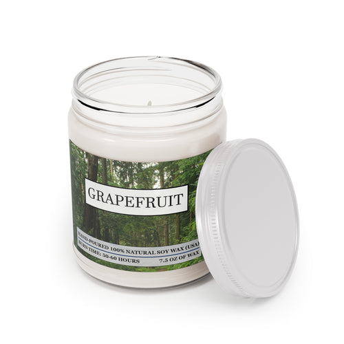 Grapefruit scented natural soy wax candle with the picture of a forest