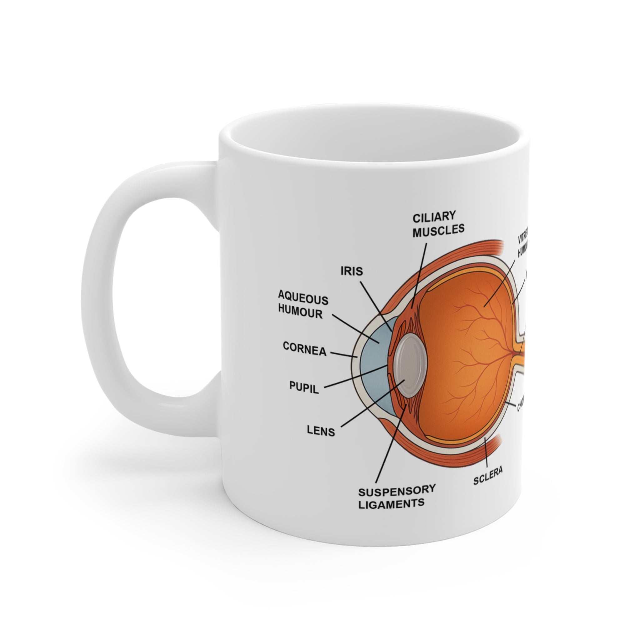 Mug with the parts of the eye - Gift for an ophtalmologist